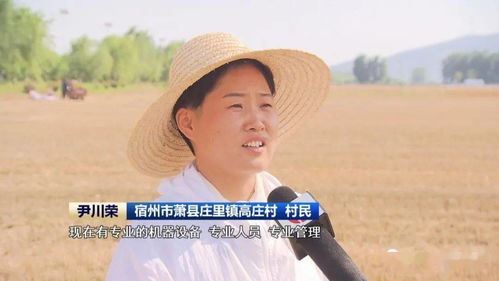 安徽 農機社會化服務助力夏收提速提質，技術推廣是關鍵