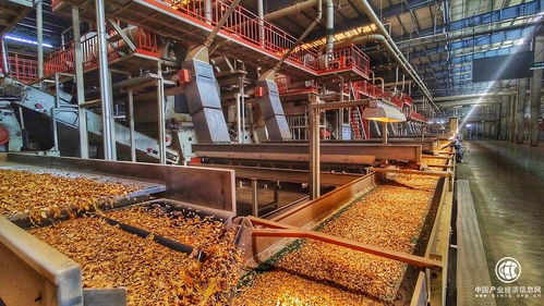 技術驅動創新，智慧賦能發展——云南煙葉復烤有限責任公司楚雄復烤廠2021烤季生產任務圓滿完成